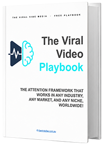 The Viral Video Playbook cover